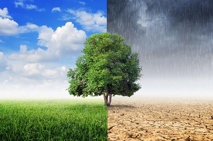 Peringatan BMKG Cuaca Ekstrem NTT November 2025: 6 Fakta Penting yang Wajib Kamu Tau!